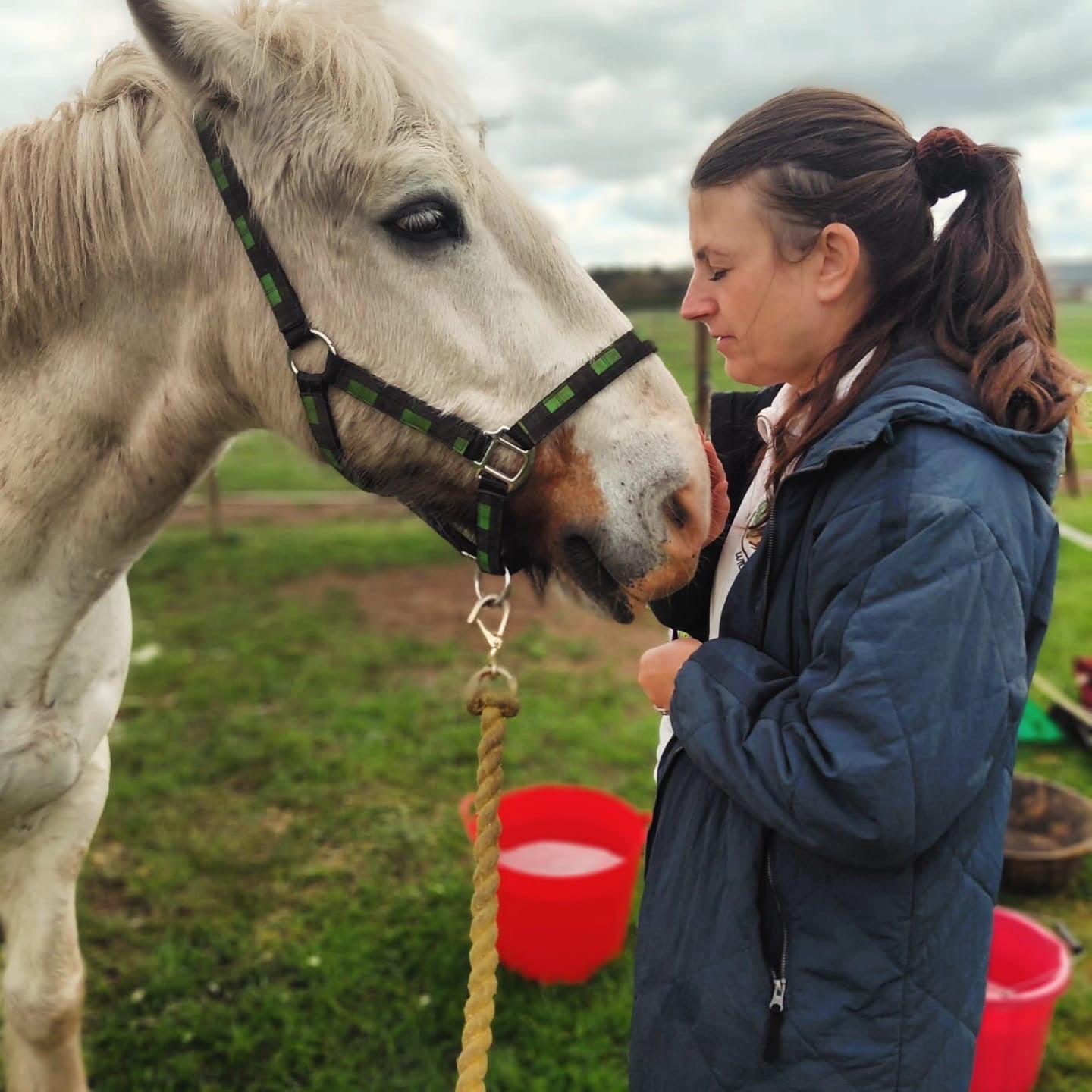 Horse Healing with Communication