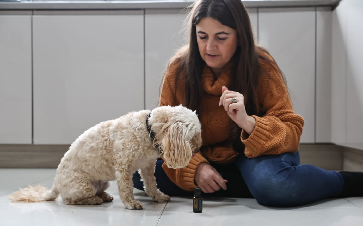 Dog Energy & Sound Healing