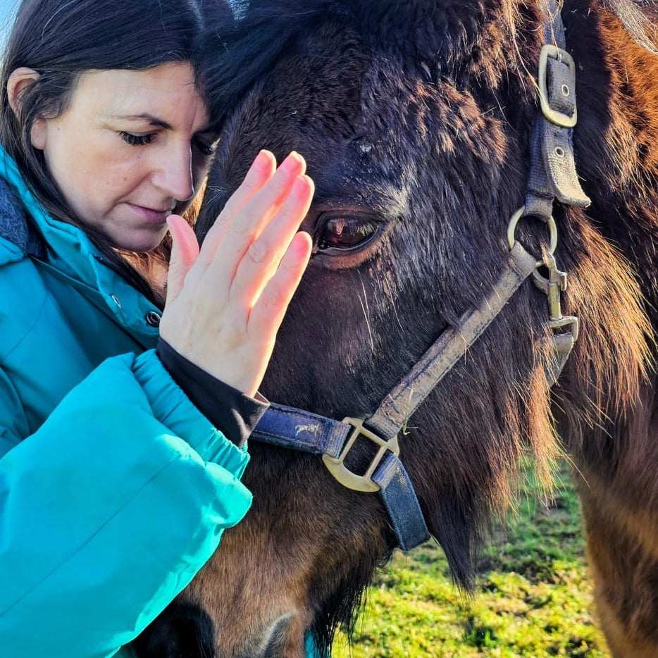 Horse Energy Healing & Sound