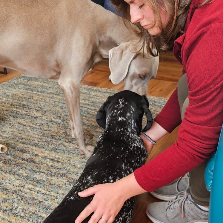 Animal Healing Level 1