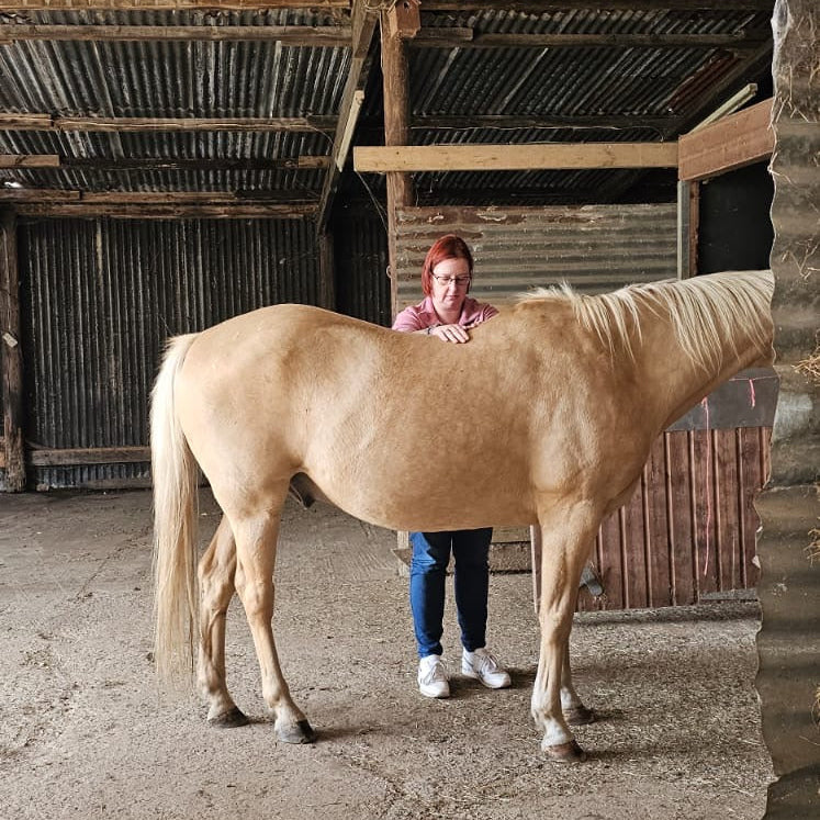 Animal Healing Practitioner Course