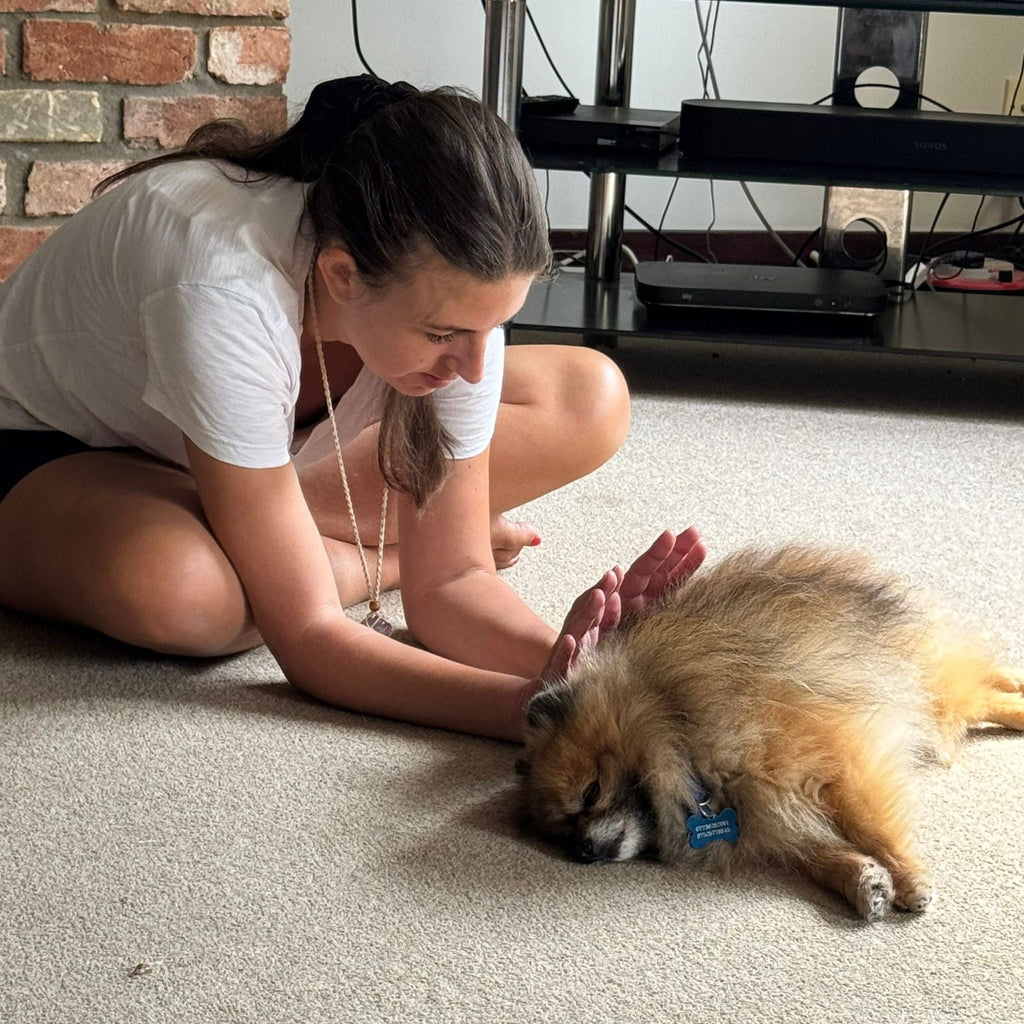 Dog Energy & Sound Healing
