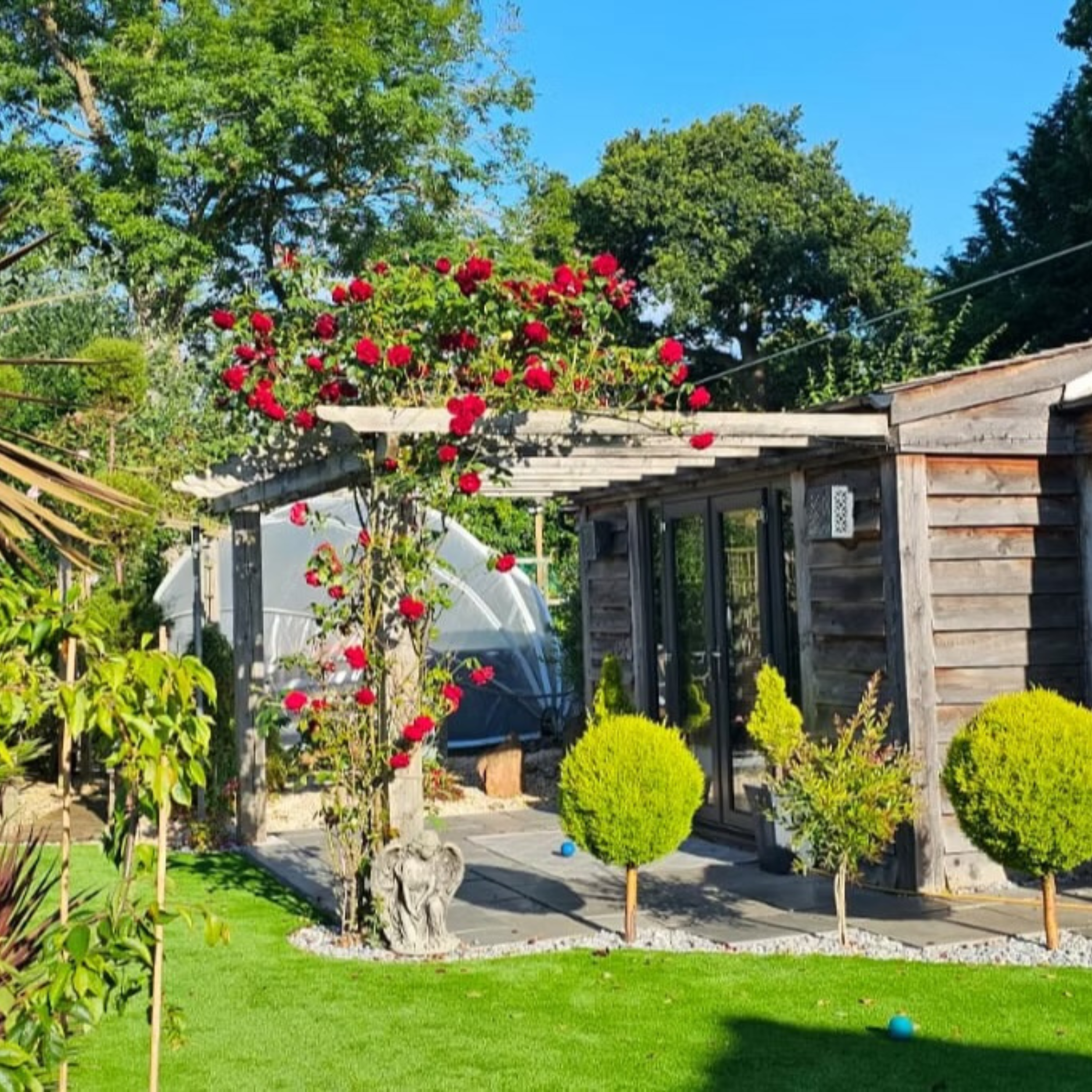 Healing Retreat for Dogs