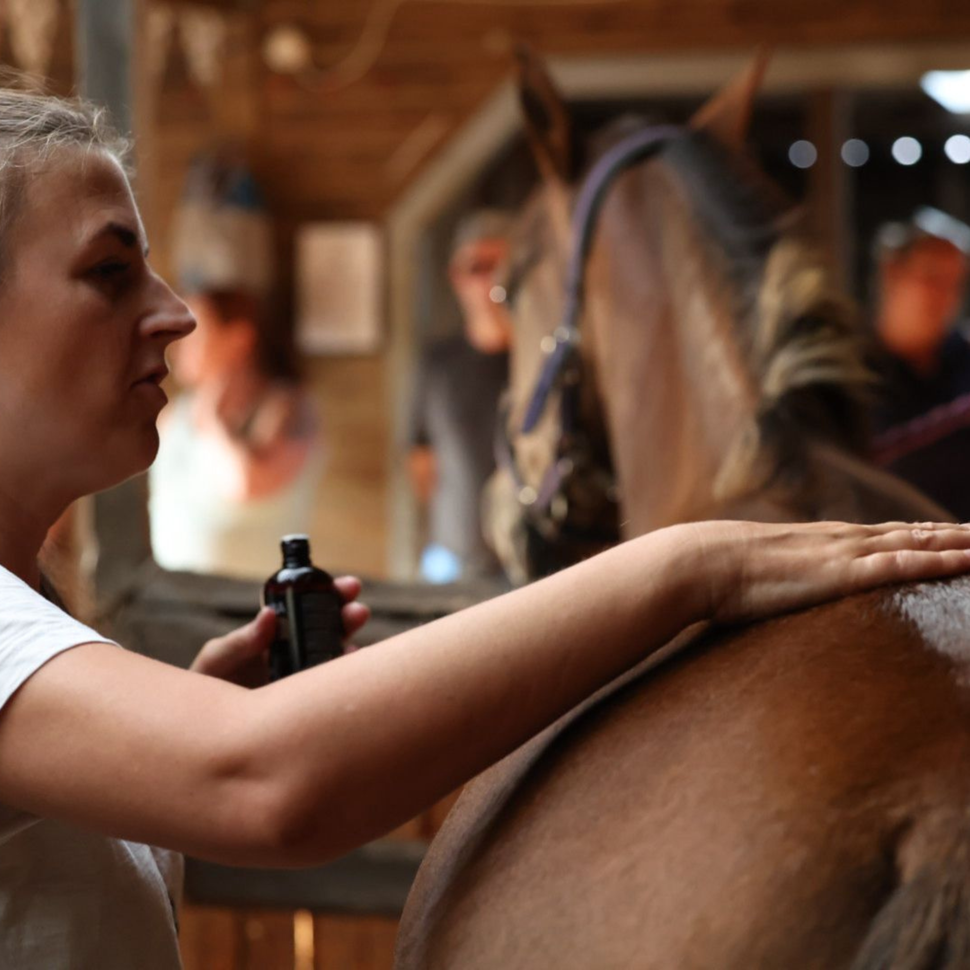 Essential Oil Horse Workshop