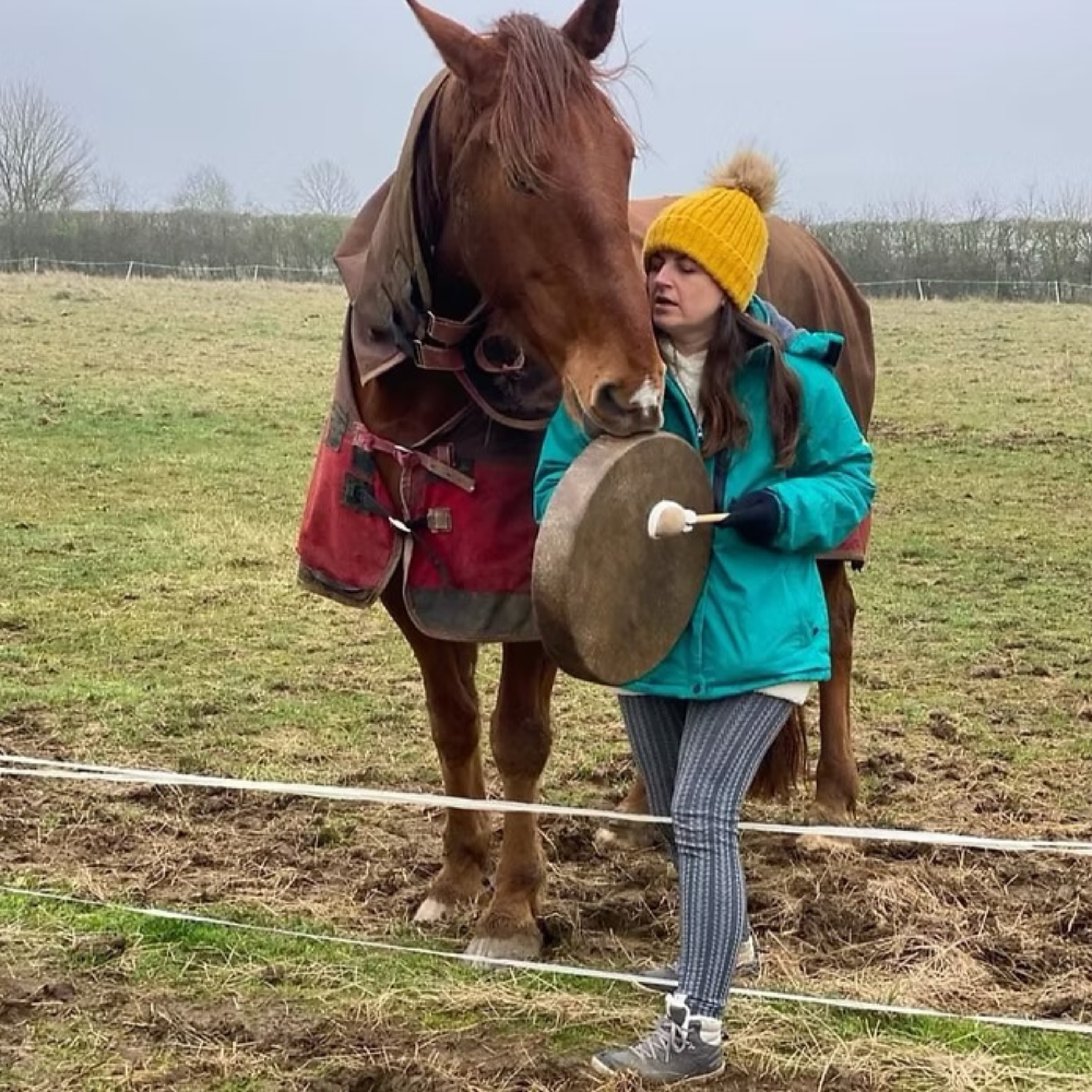 Shamanic Drumming for Horses