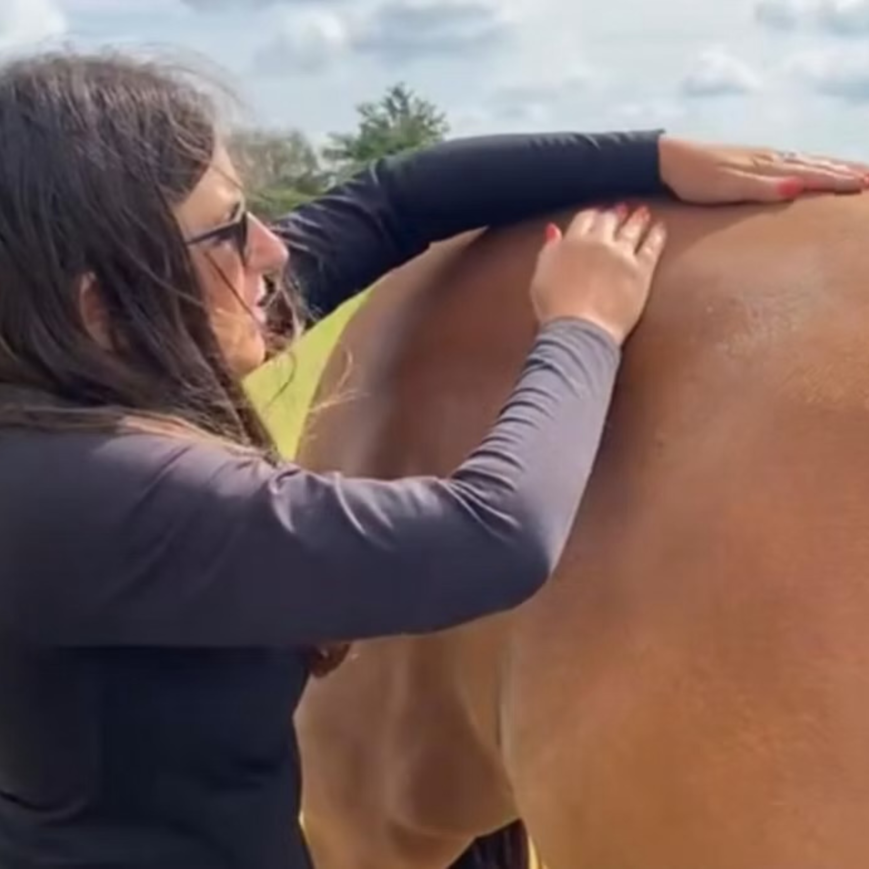 Aroma Wild Technique Animal Massage