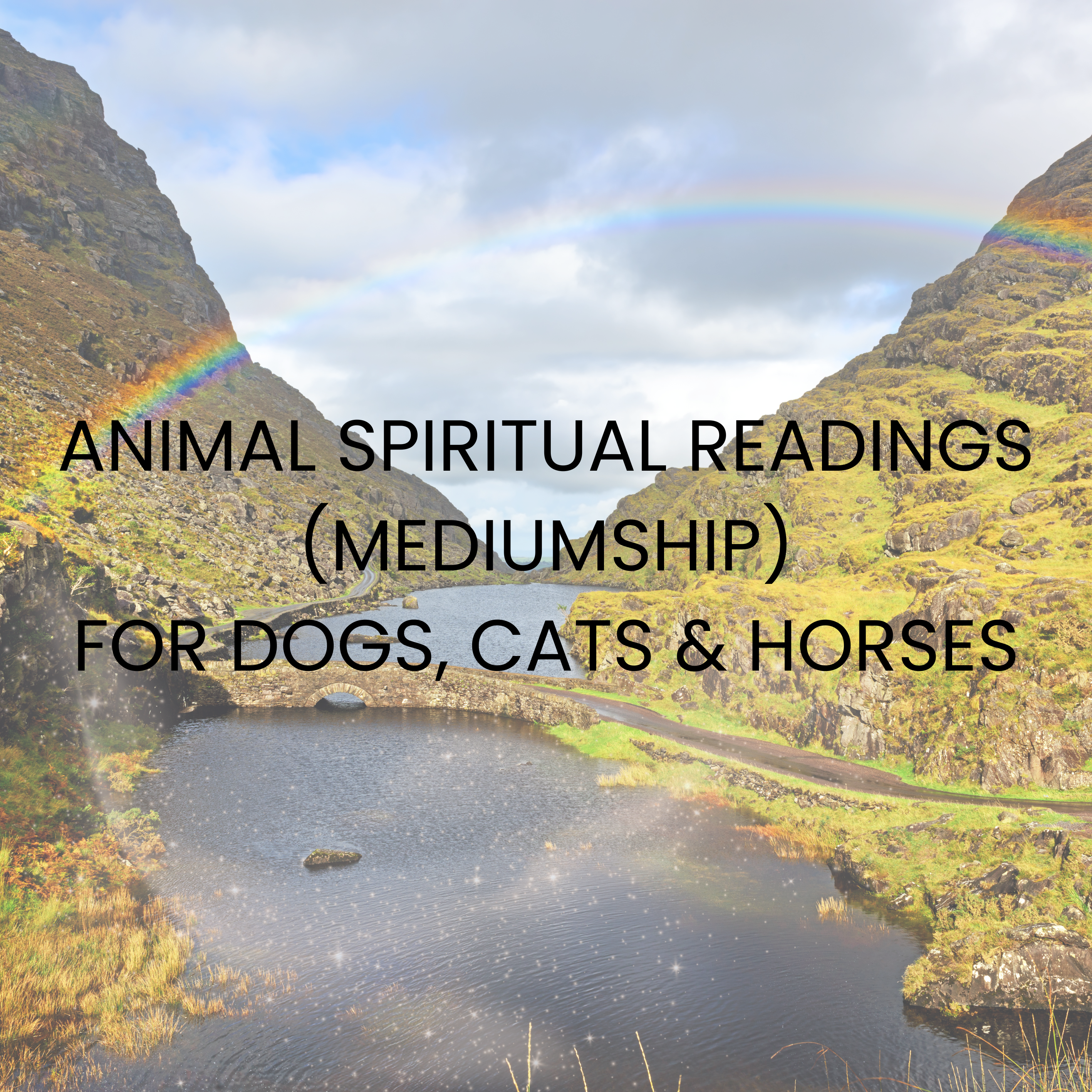 Animal Spiritual Readings (Mediumship)