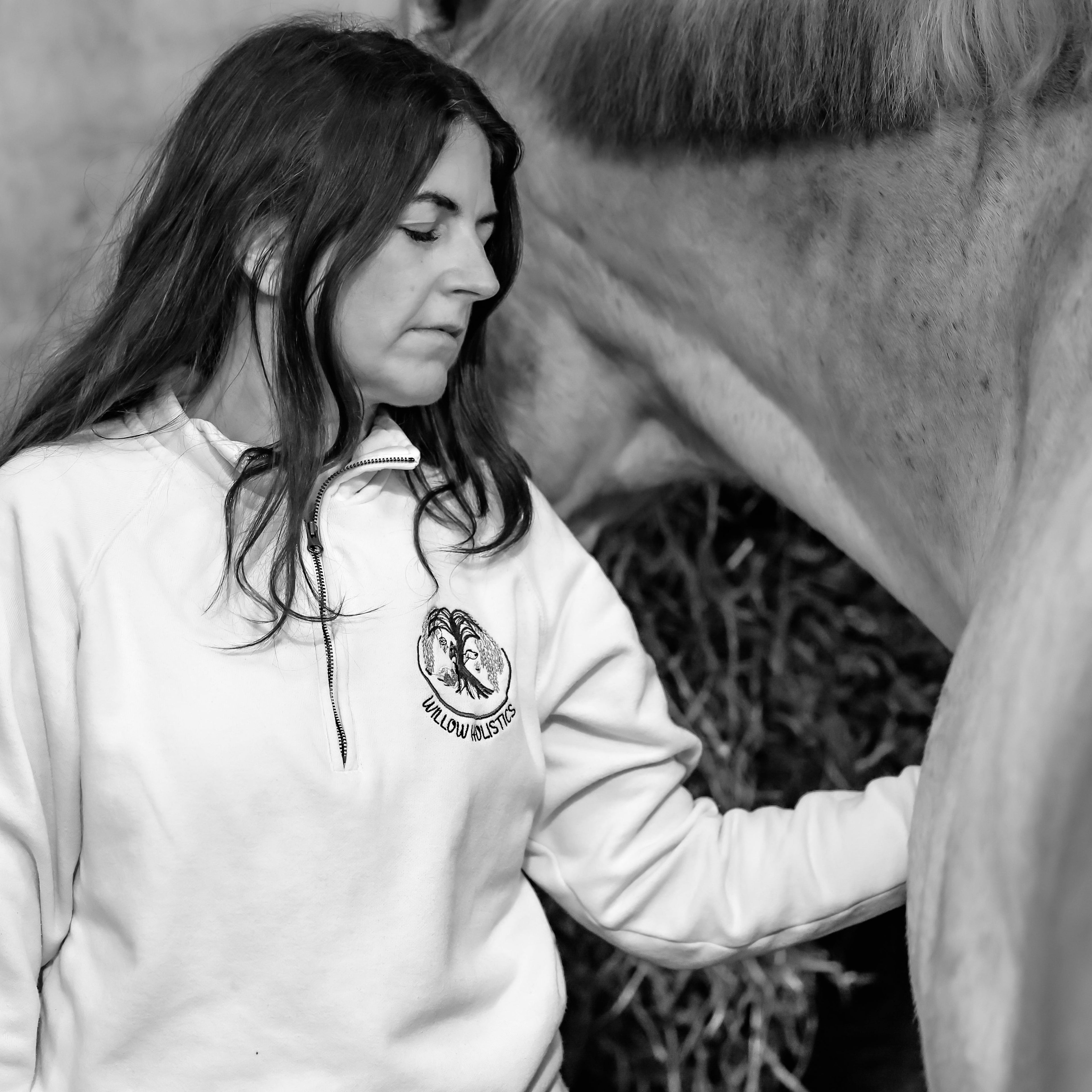 Horse Energy Healing & Sound