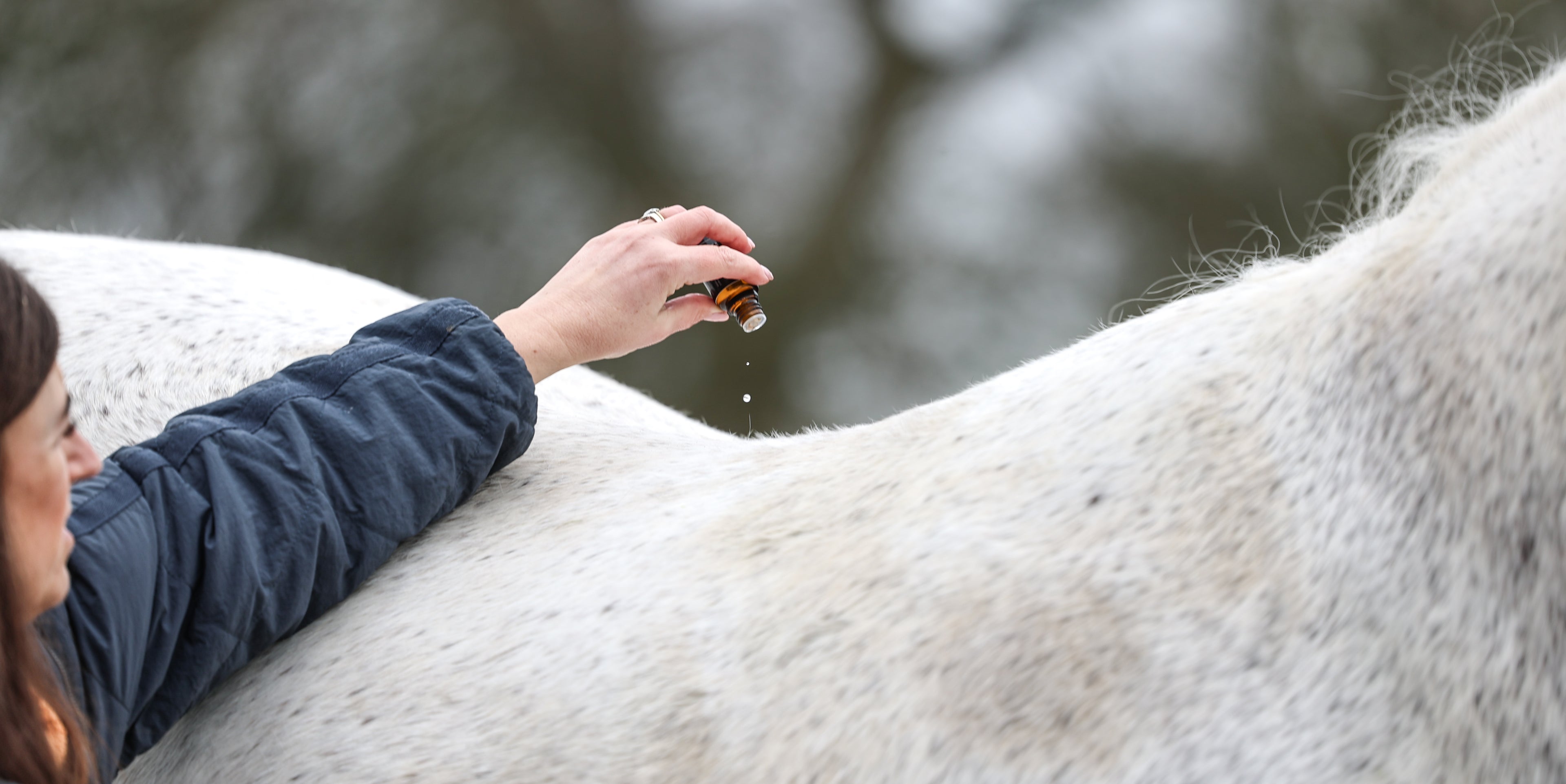 Horse Aromatherapy Wellness Enlightenment Session
